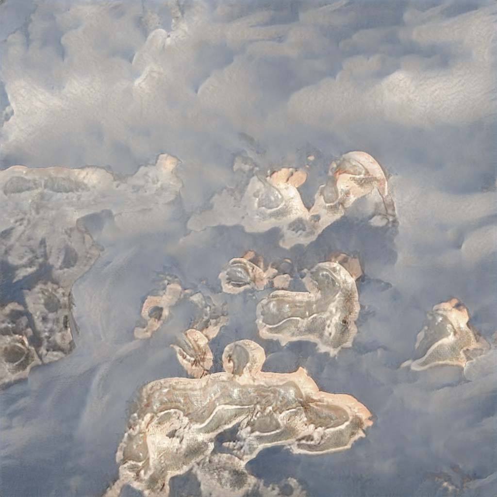 seed2056.jpg