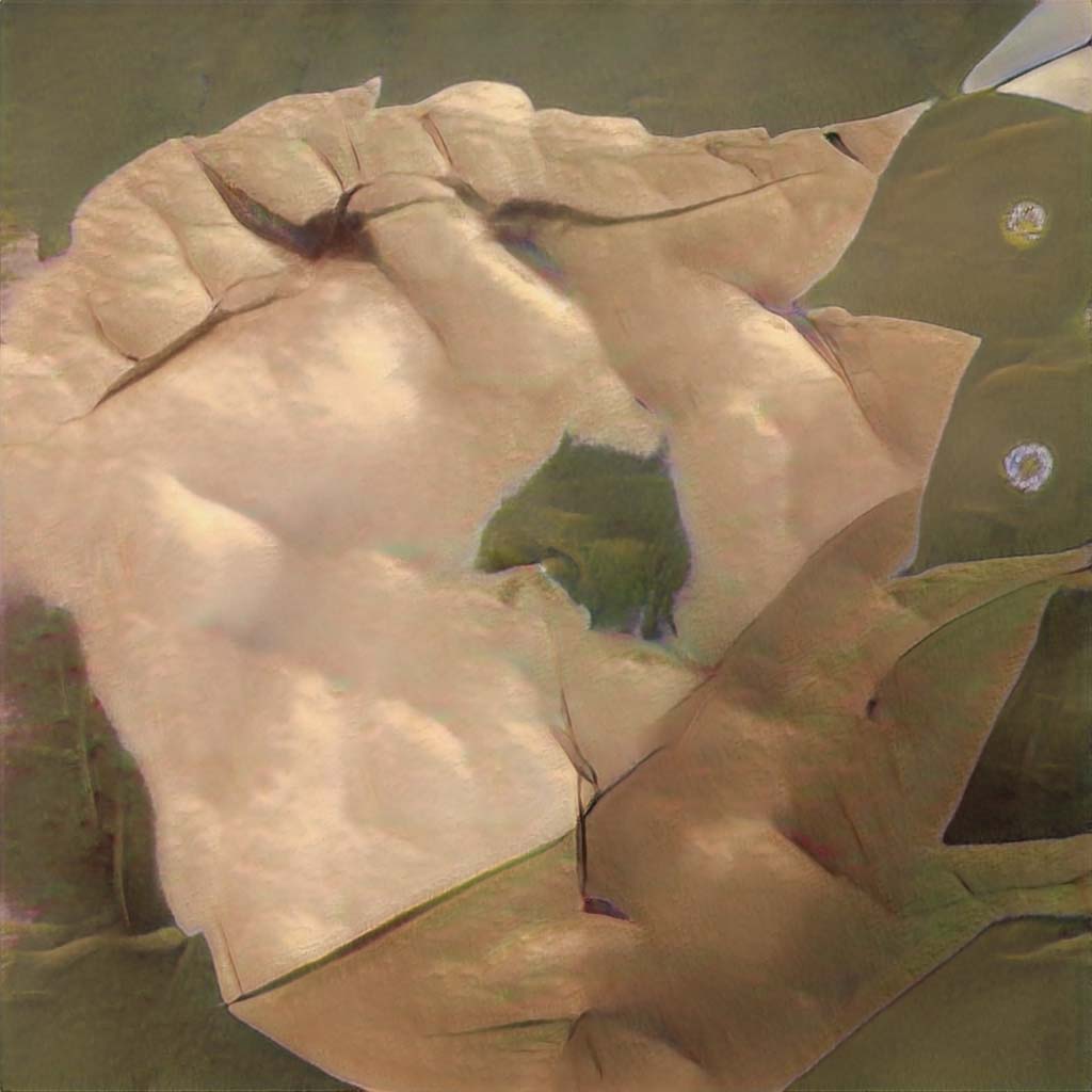 seed3656.jpg