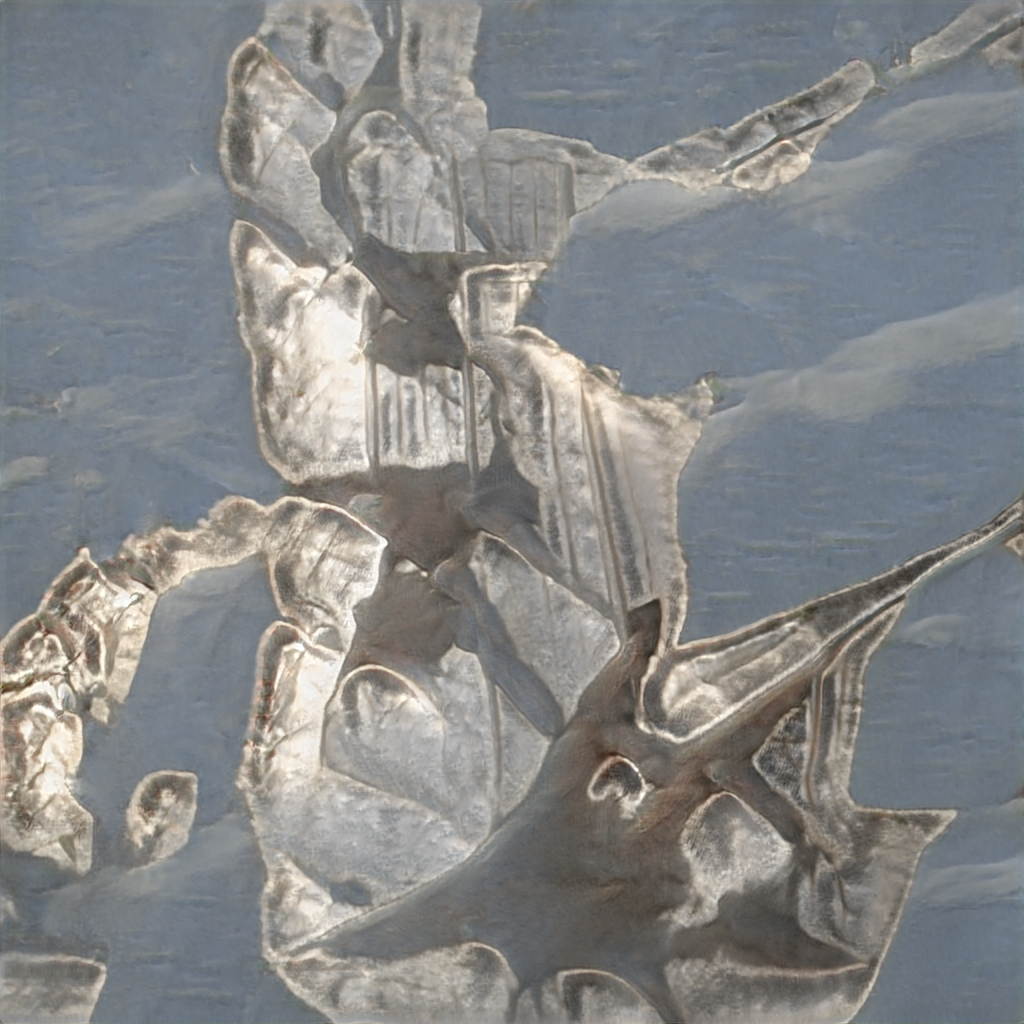 seed5224.png