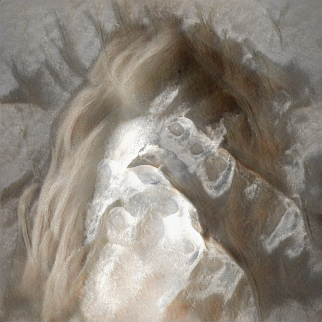 seed2511.png