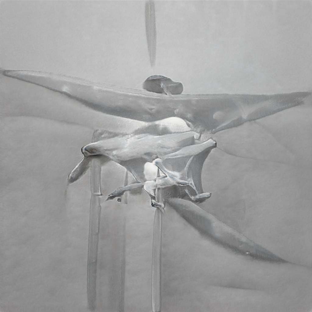 seed0657.jpg